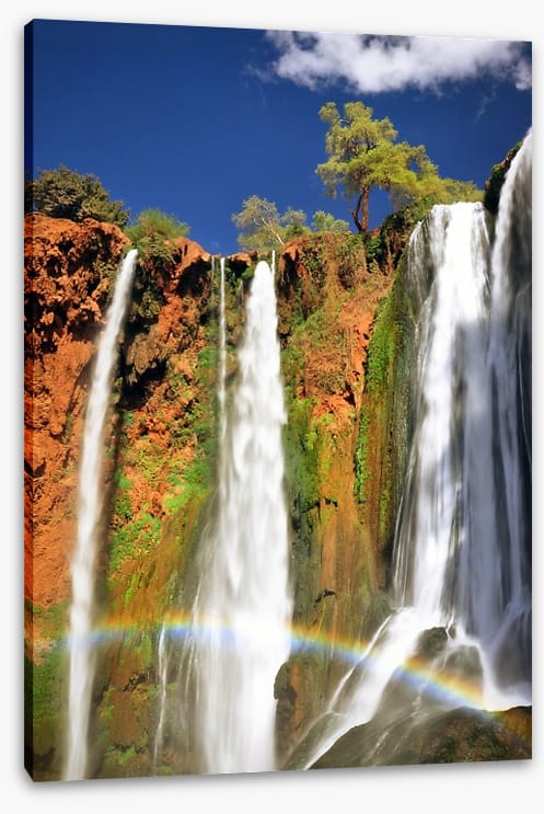 Rainbows - Image 2