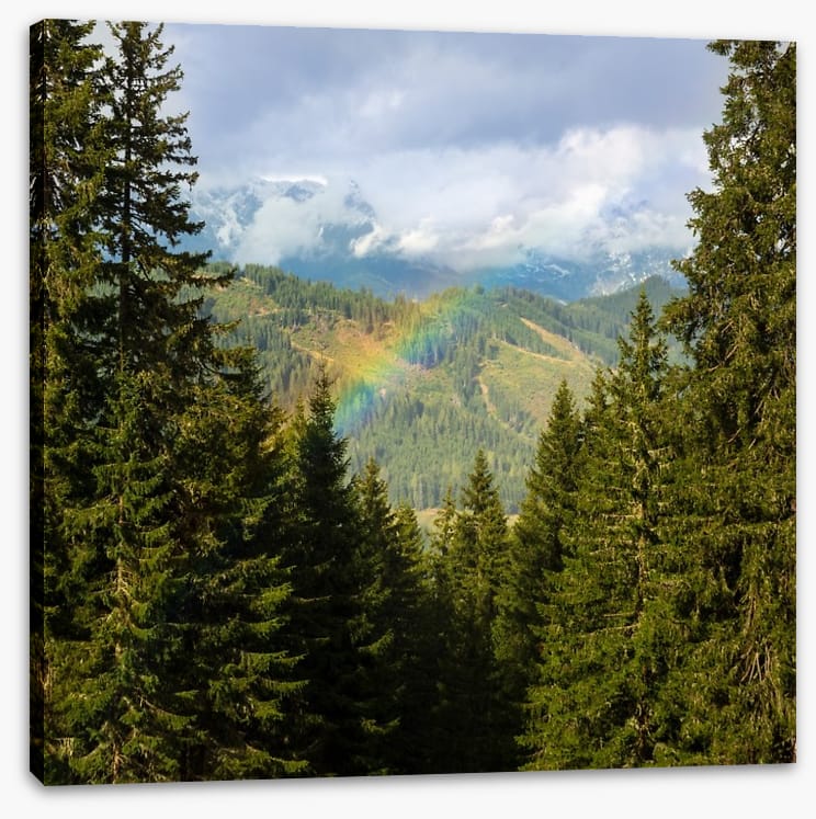 Rainbows - Image 2