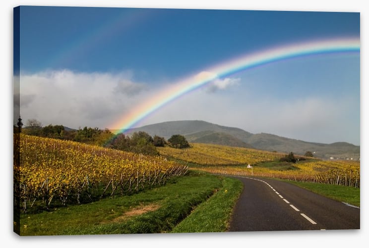 Rainbows - Image 2