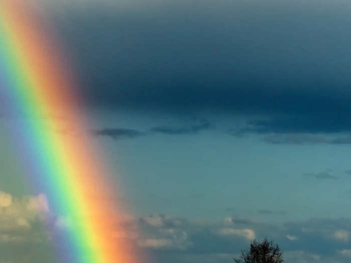 Rainbows