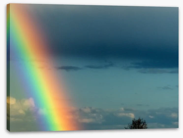 Rainbows - Image 2