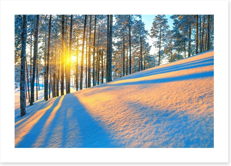 Rays of the setting sun - Image 2