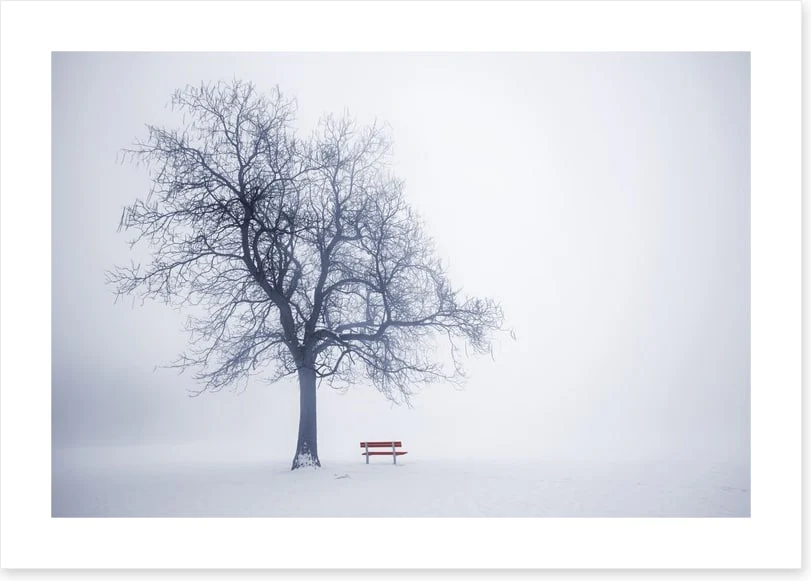 Red bench in Winter - Image 2