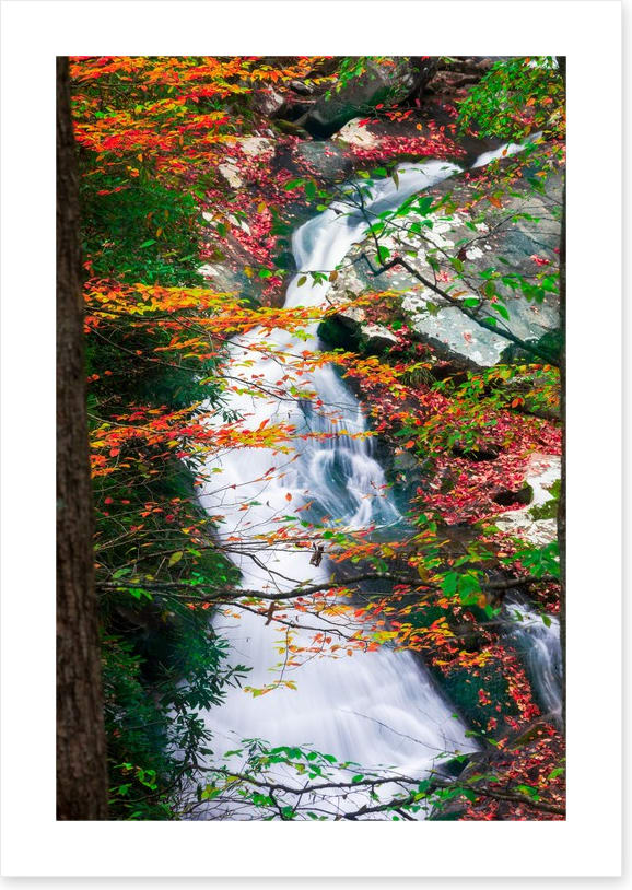 Rivers - Image 2