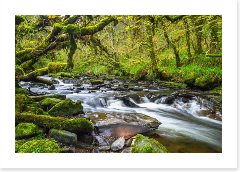 Rivers - Image 2