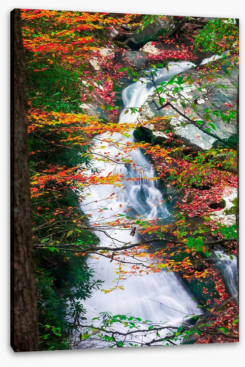 Rivers - Image 2