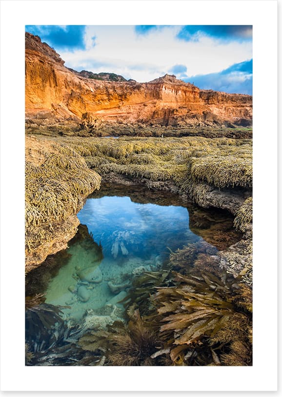 Rockpool, Mornington Peninsula - Image 2