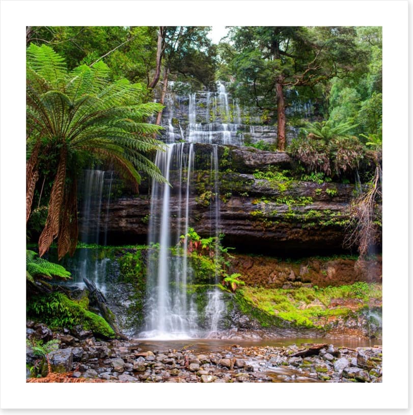 Russell Falls Creek - Image 2