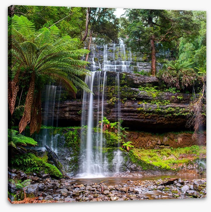 Russell Falls Creek - Image 2