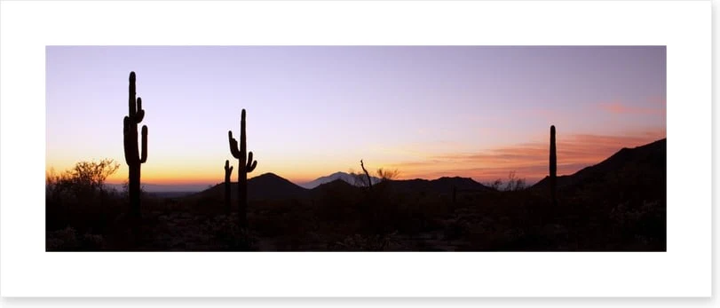 Saguaro cactus at sunrise - Image 2