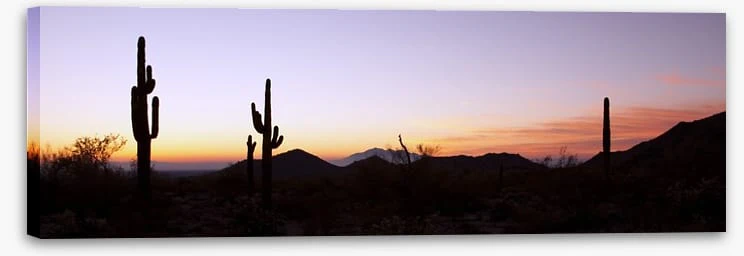 Saguaro cactus at sunrise - Image 2