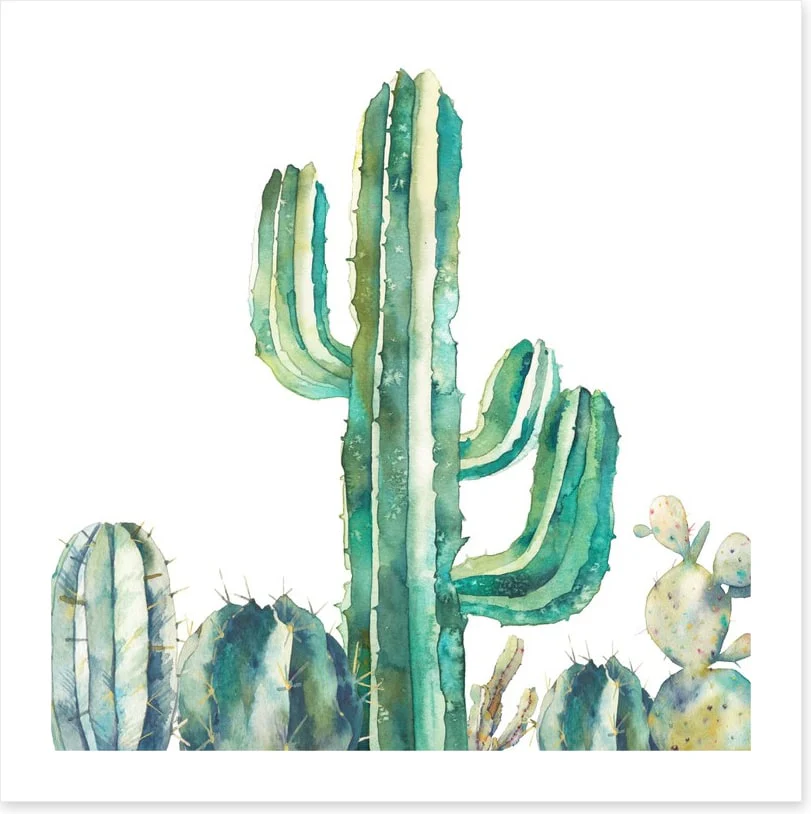 Saguaro standing tall - Image 2