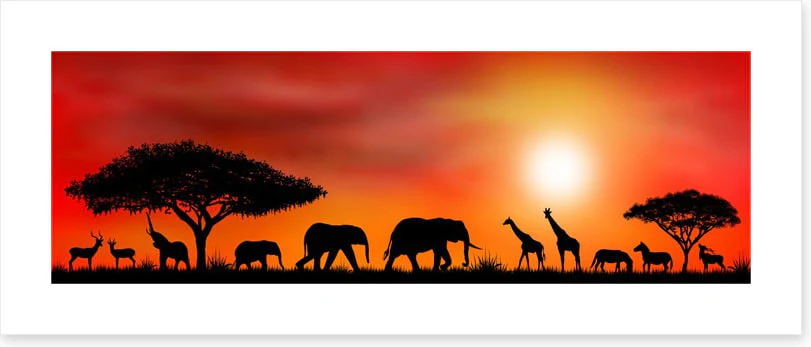 Savannah silhouettes - Image 2