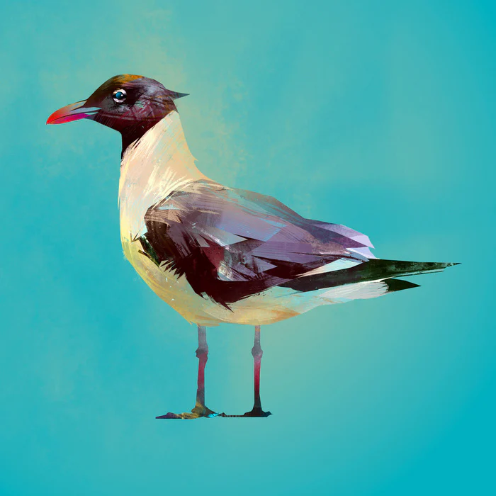 Seagull standoff