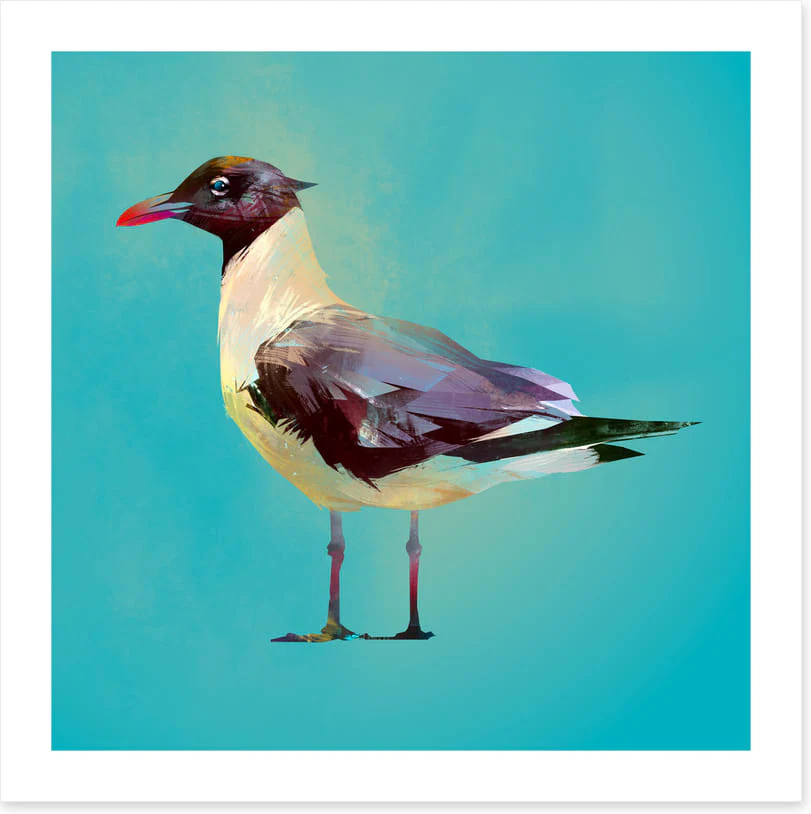 Seagull standoff - Image 2