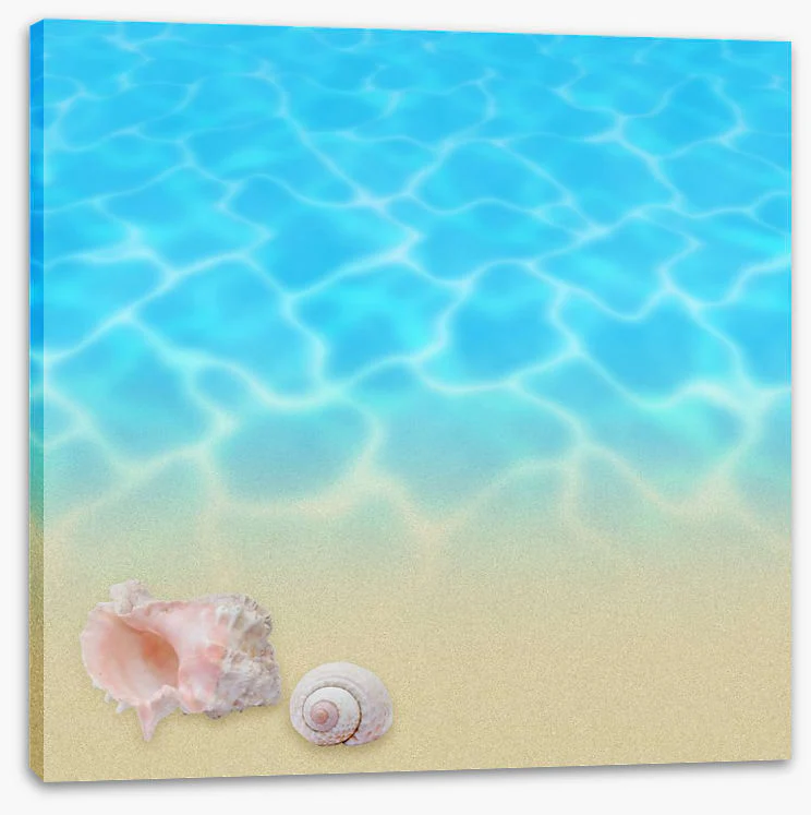 Seashell beach - Image 2