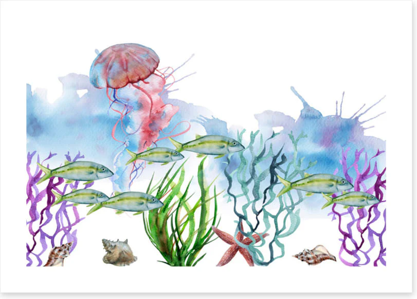 Seaweed shoal - Image 2