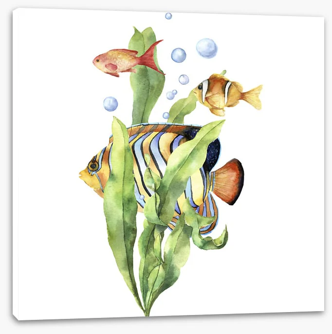 Seaweed swim - Image 2