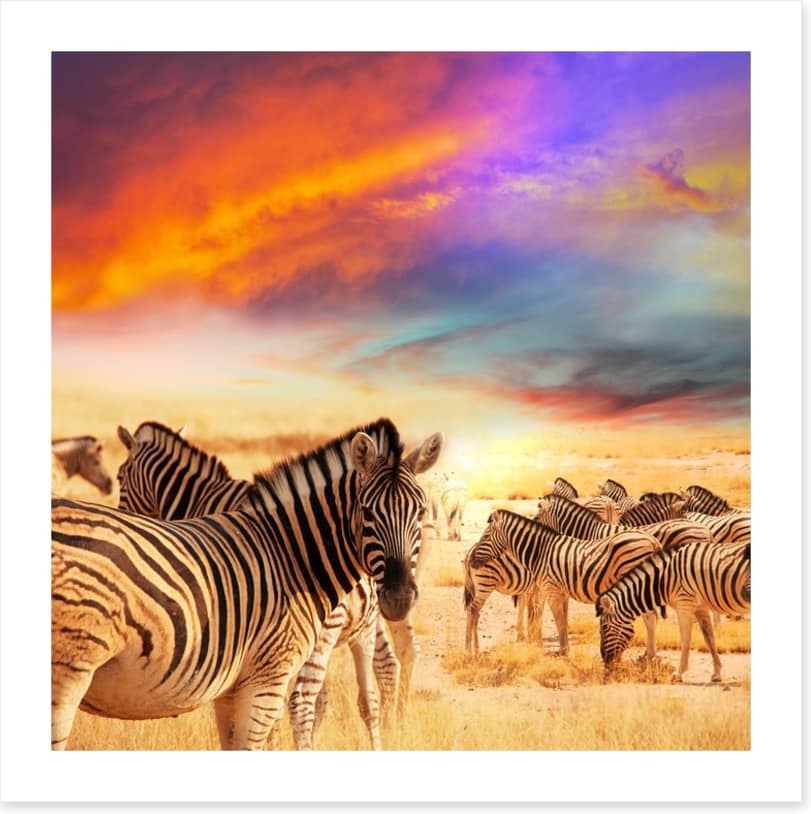 Serengeti sunset - Image 2
