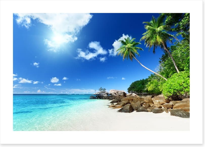 Seychelles shores - Image 2