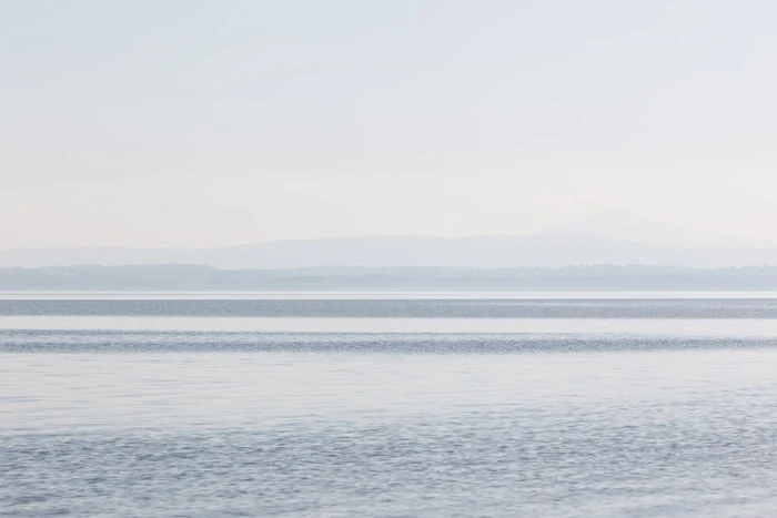 Shades of silence