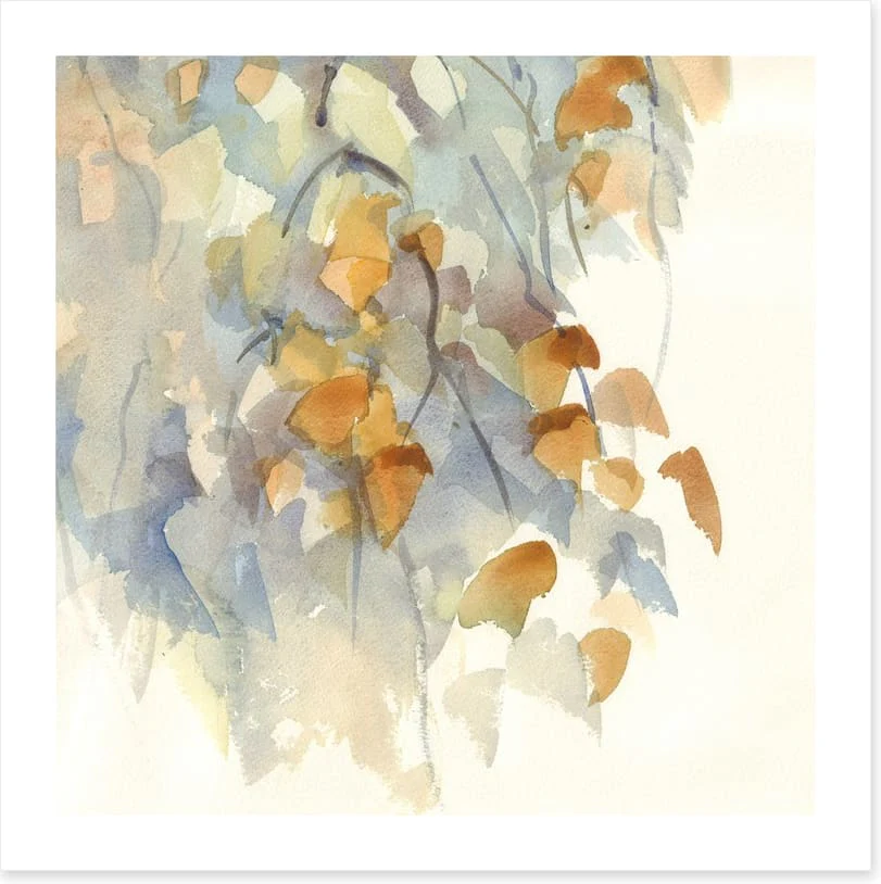 Shadows in the birch - Image 2