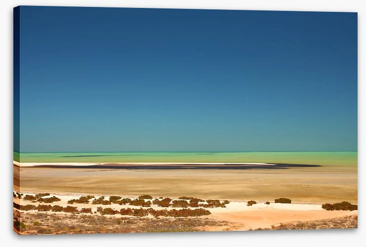 Shark Bay summer - Image 2