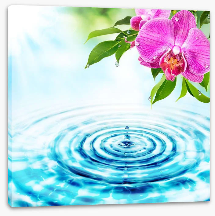 Rejuvenation - Image 2
