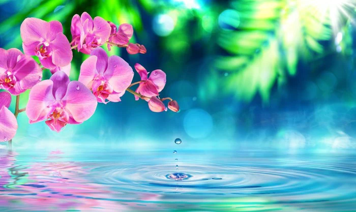 Zen garden droplet