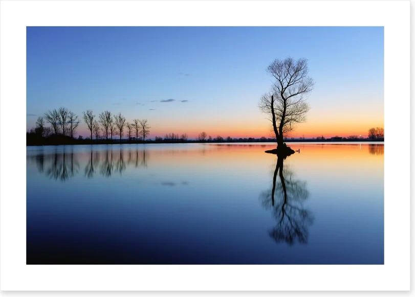 Silhouette tree reflections - Image 2
