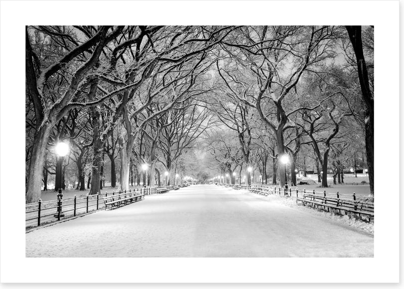 Snowy Central Park - Image 2