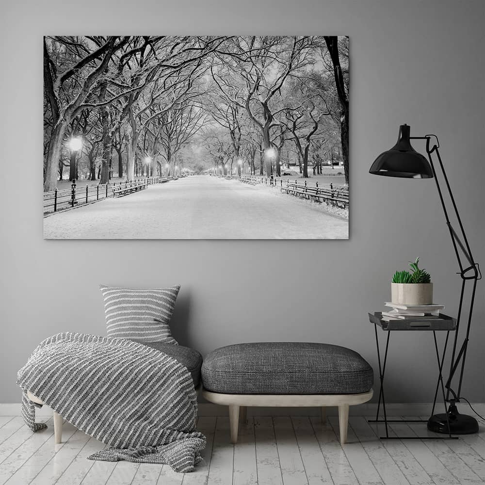 Snowy Central Park - Image 3