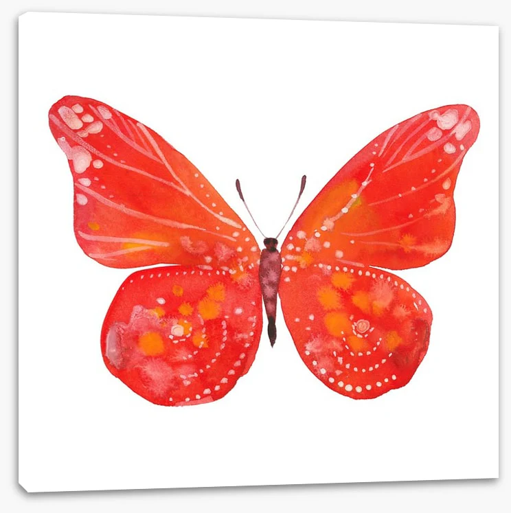 Social butterfly III - Image 2