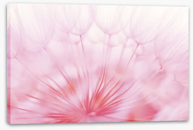 Soft focus - Image 2