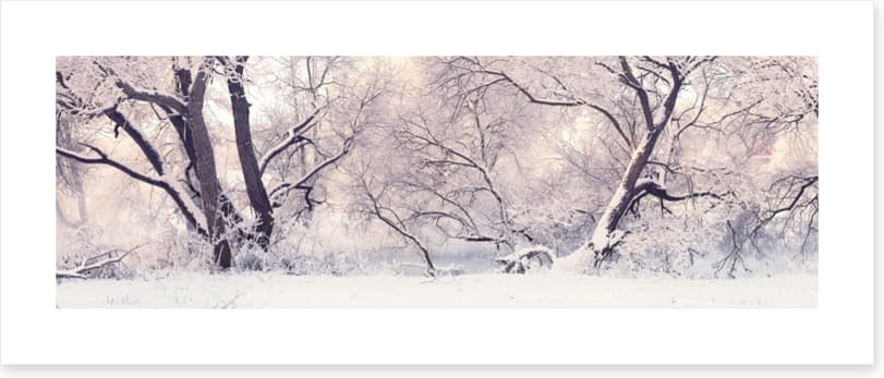 Soft snow branches - Image 2