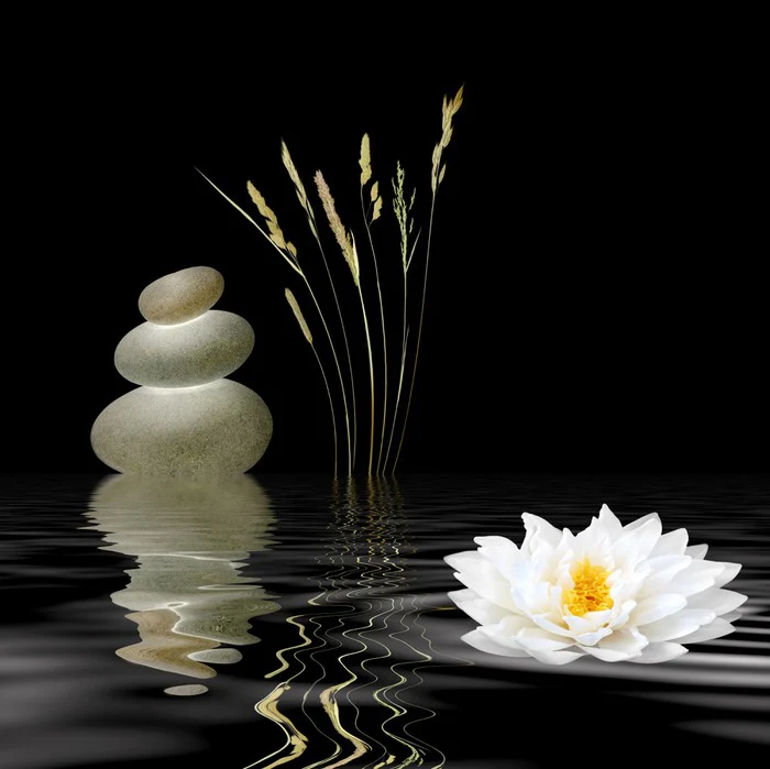 Spiritual soul