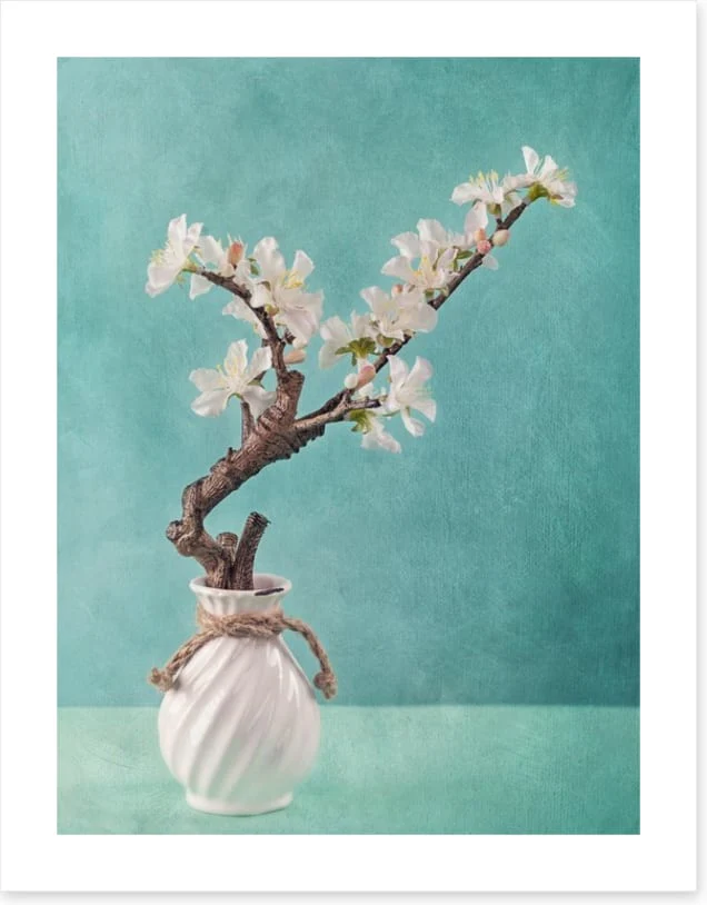 Spring apple blossoms - Image 2