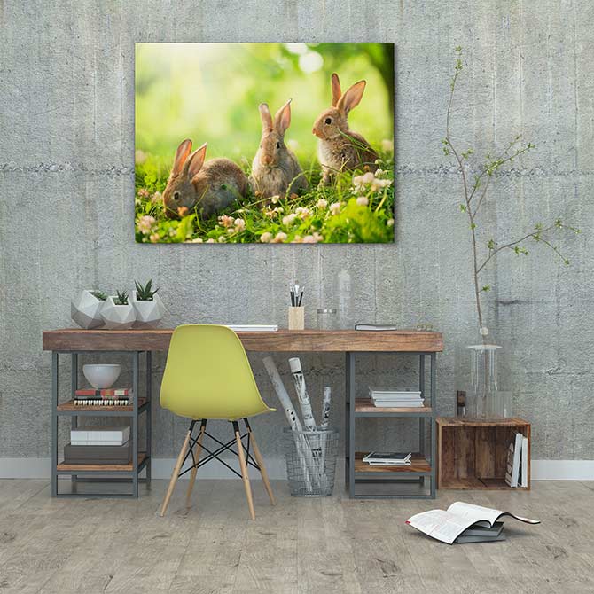 Spring bunnies - Image 3