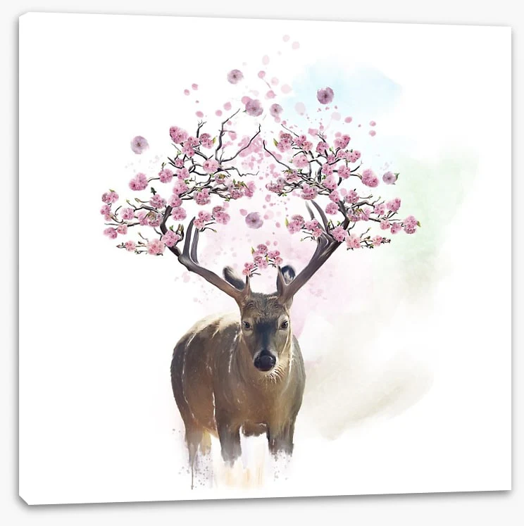 Spring deer - Image 2