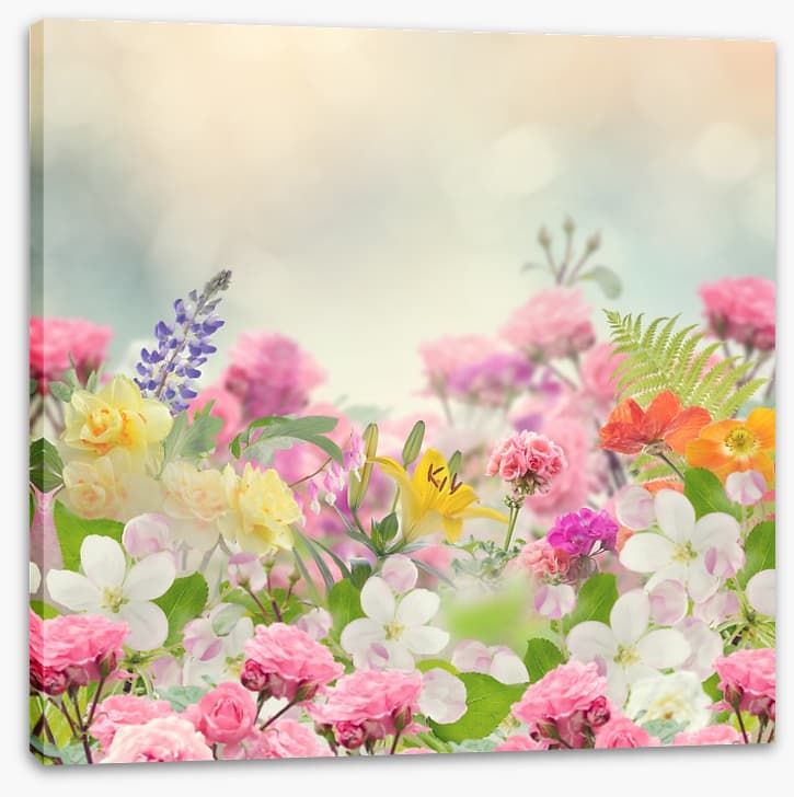 Forever spring - Image 2