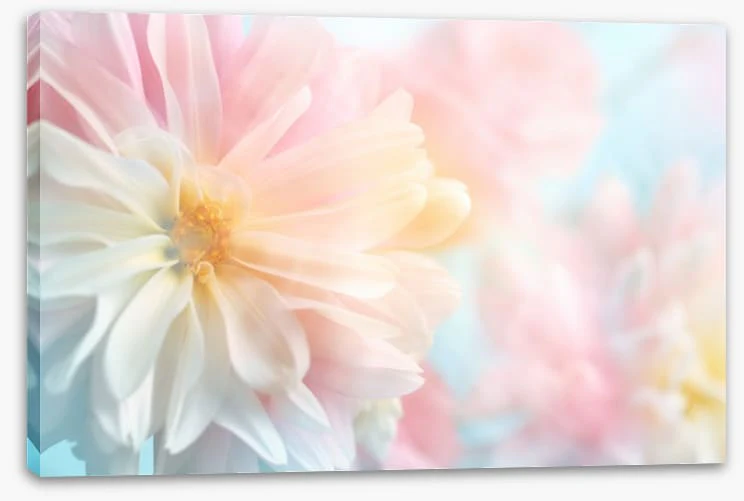 Pastel peony - Image 2