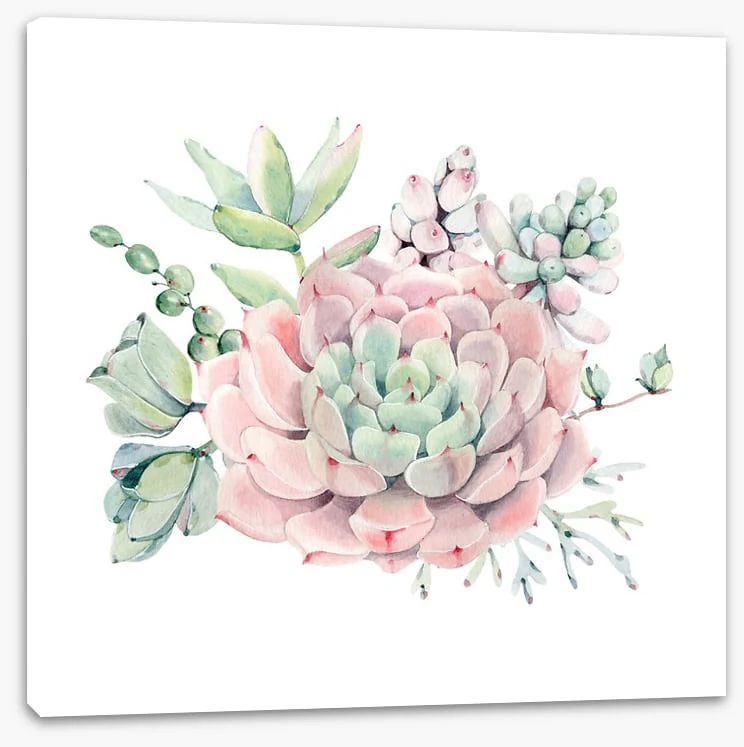 Succulent spring - Image 2
