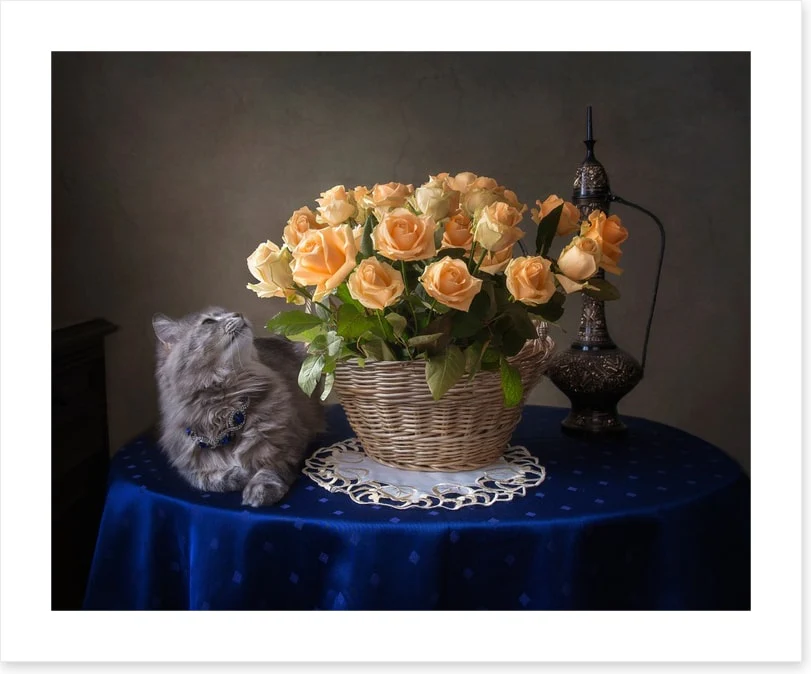 Still Life - Image 2