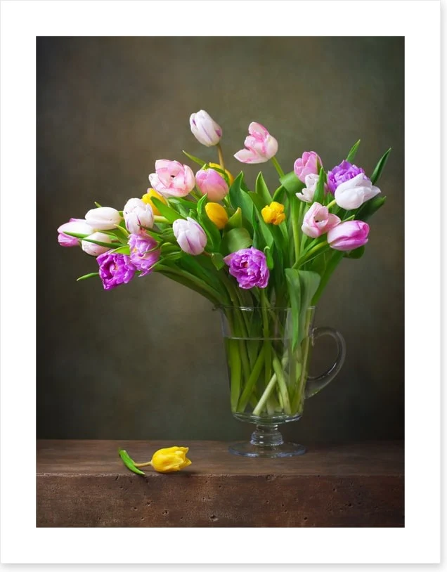 Still Life - Image 2