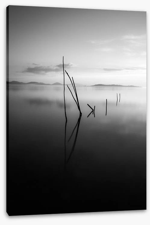 Still waters - Image 2