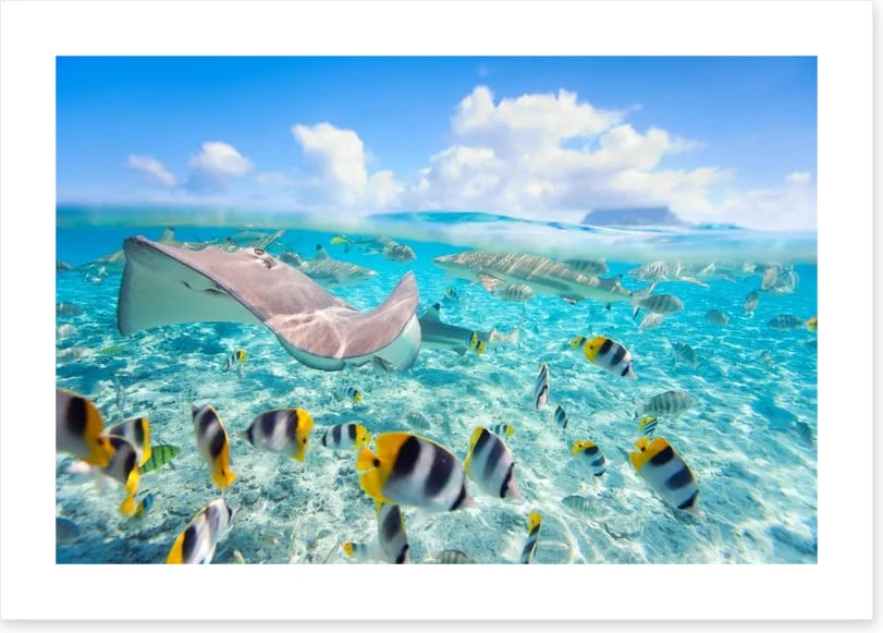 Stingray lagoon - Image 2