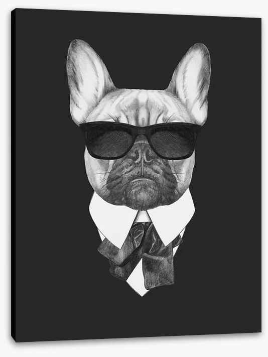 Suave french bulldog - Image 2