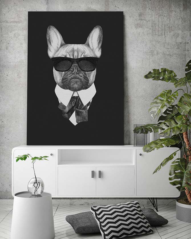 Suave french bulldog - Image 3