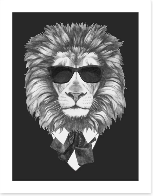Suave lion - Image 2
