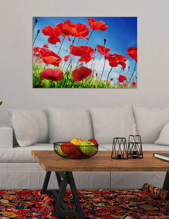 Poppies on a sunny day - Image 3